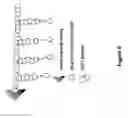 Fig. 10 - Compositions and methods for controlled localized delivery of bone forming therapeutic agents