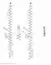 Fig. 14 - Compositions and methods for controlled localized delivery of bone forming therapeutic agents