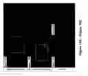 Fig. 20 - Compositions and methods for controlled localized delivery of bone forming therapeutic agents