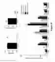 Fig. 28 - Compositions and methods for controlled localized delivery of bone forming therapeutic agents