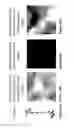 Fig. 30 - Compositions and methods for controlled localized delivery of bone forming therapeutic agents