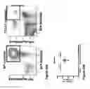 Fig. 53 - Compositions and methods for controlled localized delivery of bone forming therapeutic agents