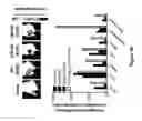 Fig. 59 - Compositions and methods for controlled localized delivery of bone forming therapeutic agents