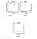 Fig. 02 - Highly stable biodegradable gene vector platforms for overcoming biological barriers