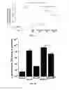 Fig. 03 - Highly stable biodegradable gene vector platforms for overcoming biological barriers