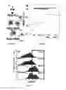 Fig. 04 - Highly stable biodegradable gene vector platforms for overcoming biological barriers