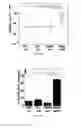 Fig. 05 - Highly stable biodegradable gene vector platforms for overcoming biological barriers