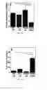 Fig. 06 - Highly stable biodegradable gene vector platforms for overcoming biological barriers