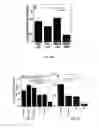 Fig. 07 - Highly stable biodegradable gene vector platforms for overcoming biological barriers