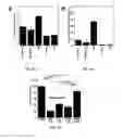 Fig. 09 - Highly stable biodegradable gene vector platforms for overcoming biological barriers