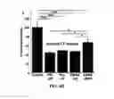 Fig. 10 - Highly stable biodegradable gene vector platforms for overcoming biological barriers