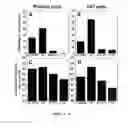 Fig. 11 - Highly stable biodegradable gene vector platforms for overcoming biological barriers