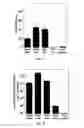 Fig. 12 - Highly stable biodegradable gene vector platforms for overcoming biological barriers