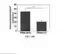 Fig. 16 - Highly stable biodegradable gene vector platforms for overcoming biological barriers