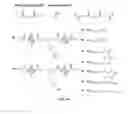 Fig. 23 - Highly stable biodegradable gene vector platforms for overcoming biological barriers