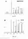 Fig. 25 - Highly stable biodegradable gene vector platforms for overcoming biological barriers