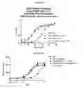 Fig. 19 - COMPOSITIONS AND METHODS FOR CONJUGATING ACTIVATABLE ANTIBODIES