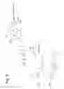 Fig. 07 - Sulfamide linker, conjugates thereof, and methods of preparation