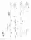 Fig. 15 - Sulfamide linker, conjugates thereof, and methods of preparation