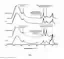Fig. 04 - Bioactive agents included in functionalized starch having a single helix V-structure