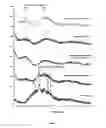 Fig. 05 - Bioactive agents included in functionalized starch having a single helix V-structure