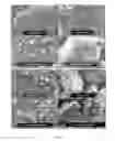 Fig. 09 - Bioactive agents included in functionalized starch having a single helix V-structure