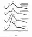 Fig. 13 - Bioactive agents included in functionalized starch having a single helix V-structure