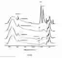 Fig. 19 - Bioactive agents included in functionalized starch having a single helix V-structure