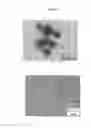 Fig. 02 - METAL-ORGANIC FRAMEWORK STIMULUS RESPONSIVE POLYMER COMPOSITE CAPABLE OF CONTROLLING RELEASE OF GUEST