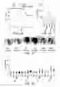 Fig. 05 - INFLAMMATION-ENABLING POLYPEPTIDES AND USES THEREOF