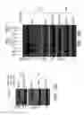 Fig. 23 - INFLAMMATION-ENABLING POLYPEPTIDES AND USES THEREOF