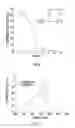 Fig. 08 - PH SENSITIVE FLUORESCENT COMPOUNDS AND METHODS FOR TUMOR DETECTION