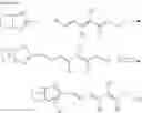 Fig. 14 - PH SENSITIVE FLUORESCENT COMPOUNDS AND METHODS FOR TUMOR DETECTION