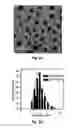 Fig. 04 - Methods and systems for noninvasive fluorescence-based functional imaging of kidneys
