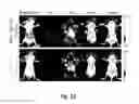 Fig. 16 - Methods and systems for noninvasive fluorescence-based functional imaging of kidneys