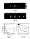 Fig. 33 - Methods and systems for noninvasive fluorescence-based functional imaging of kidneys