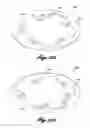 Fig. 100 - CARRIERS FOR PROCESSING POUCHES AND OTHER IRREGULAR CONTAINERS AND OBJECTS