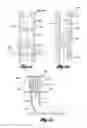 Fig. 25 - CARRIERS FOR PROCESSING POUCHES AND OTHER IRREGULAR CONTAINERS AND OBJECTS
