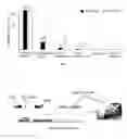 Fig. 05 - Tissue substitute multilayer matrix and uses thereof