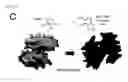 Fig. 05 - HYDROGEL INCLUDING SURFACE-TREATED NANOFIBER AND PREPARATION METHOD THEREOF
