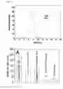 Fig. 06 - HYDROGEL INCLUDING SURFACE-TREATED NANOFIBER AND PREPARATION METHOD THEREOF