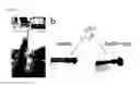 Fig. 13 - HYDROGEL INCLUDING SURFACE-TREATED NANOFIBER AND PREPARATION METHOD THEREOF