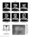 Fig. 05 - NOVEL HYDROGELS AND METHODS USING SAME
