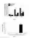 Fig. 04 - INJECTABLE CHITOSAN SPONGES FOR ENHANCING BONE REGENERATION