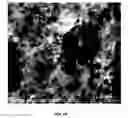 Fig. 07 - Biodegradable magnesium alloys and composites