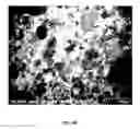 Fig. 08 - Biodegradable magnesium alloys and composites