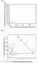 Fig. 02 - Method for controlling work time for forming shape of biphasic self-setting calcium phosphate