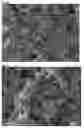 Fig. 40 - Method for controlling work time for forming shape of biphasic self-setting calcium phosphate