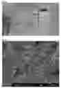 Fig. 46 - Method for controlling work time for forming shape of biphasic self-setting calcium phosphate