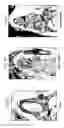 Fig. 03 - Platelet-derived growth factor compositions and methods of use thereof